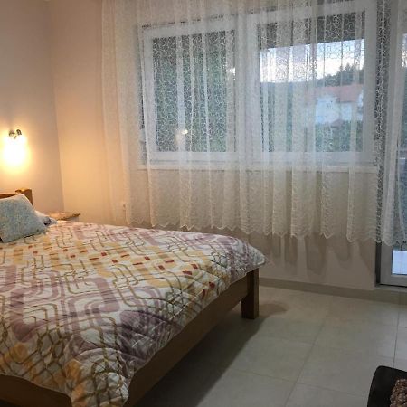 Apartment Vistanova Vrdnik Esterno foto